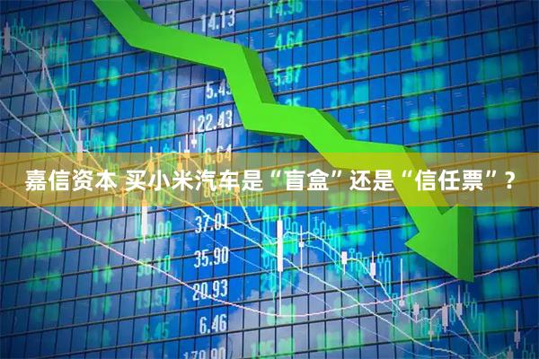 嘉信资本 买小米汽车是“盲盒”还是“信任票”？